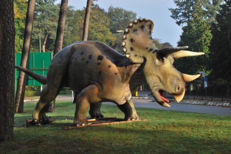 Dierenpark Amersfoort