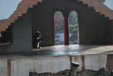 Dierenpark Amersfoort