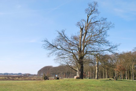 Zuid Ginkel - Ede GLD