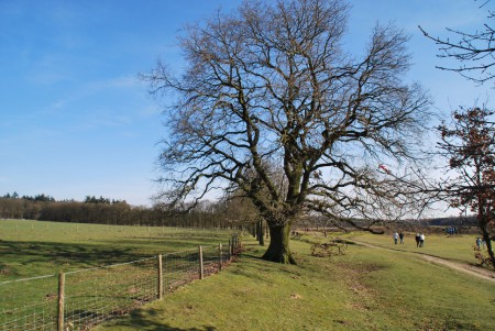 Zuid Ginkel - Ede GLD