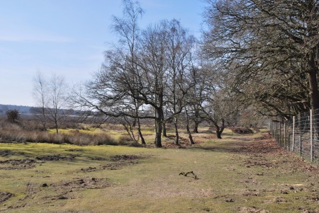 Noord Ginkel - Ede GLD