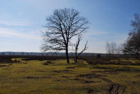 Noord Ginkel - Ede GLD
