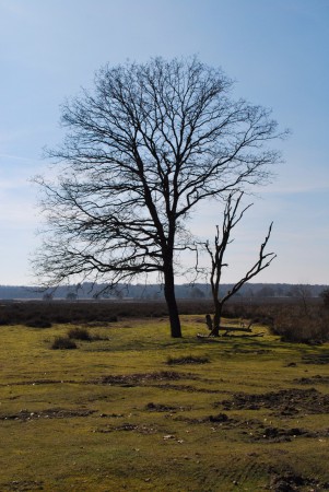Noord Ginkel - Ede GLD
