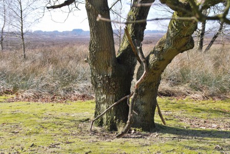 Noord Ginkel - Ede GLD