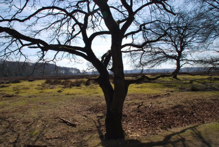 Noord Ginkel - Ede GLD