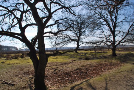 Noord Ginkel - Ede GLD