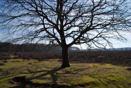 Noord Ginkel - Ede GLD
