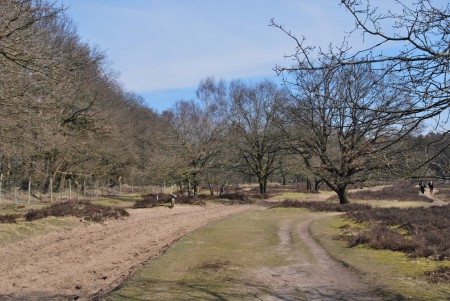 Noord Ginkel - Ede GLD