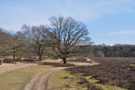 Noord Ginkel - Ede GLD