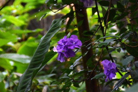 Koninklijke Burgers'Zoo - Arnhem